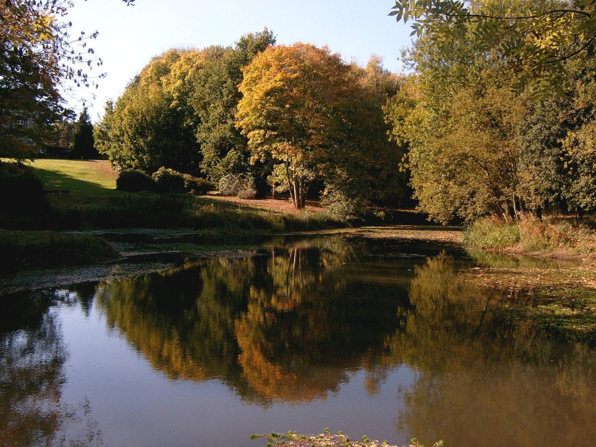 פולגייט Glyndley Manor Cottages מראה חיצוני תמונה